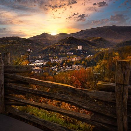 Heavenly Bear, Hot Tub, 1089 Of Free Attraction Tickets For Each Paid Day, Dollywood And More Сев'єрвілл Екстер'єр фото