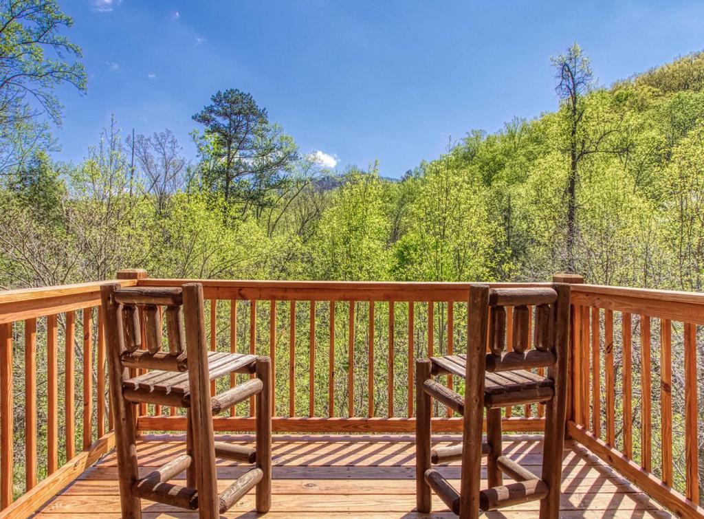 Heavenly Bear, Hot Tub, 1089 Of Free Attraction Tickets For Each Paid Day, Dollywood And More Сев'єрвілл Екстер'єр фото